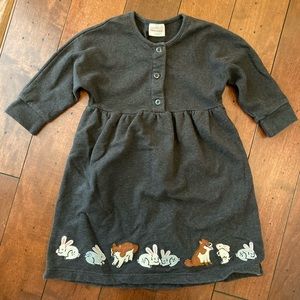 🍂 Hanna Andersson 🍂Woodland Animals Knit Dress